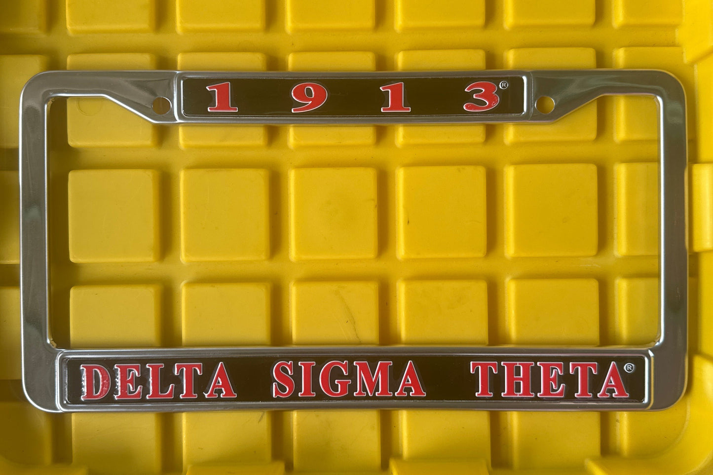 DST License Plate Frame