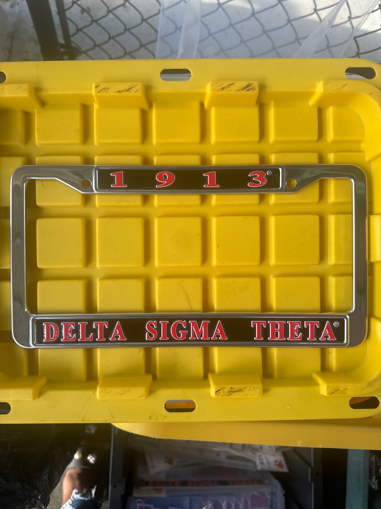 DST License Plate Frame