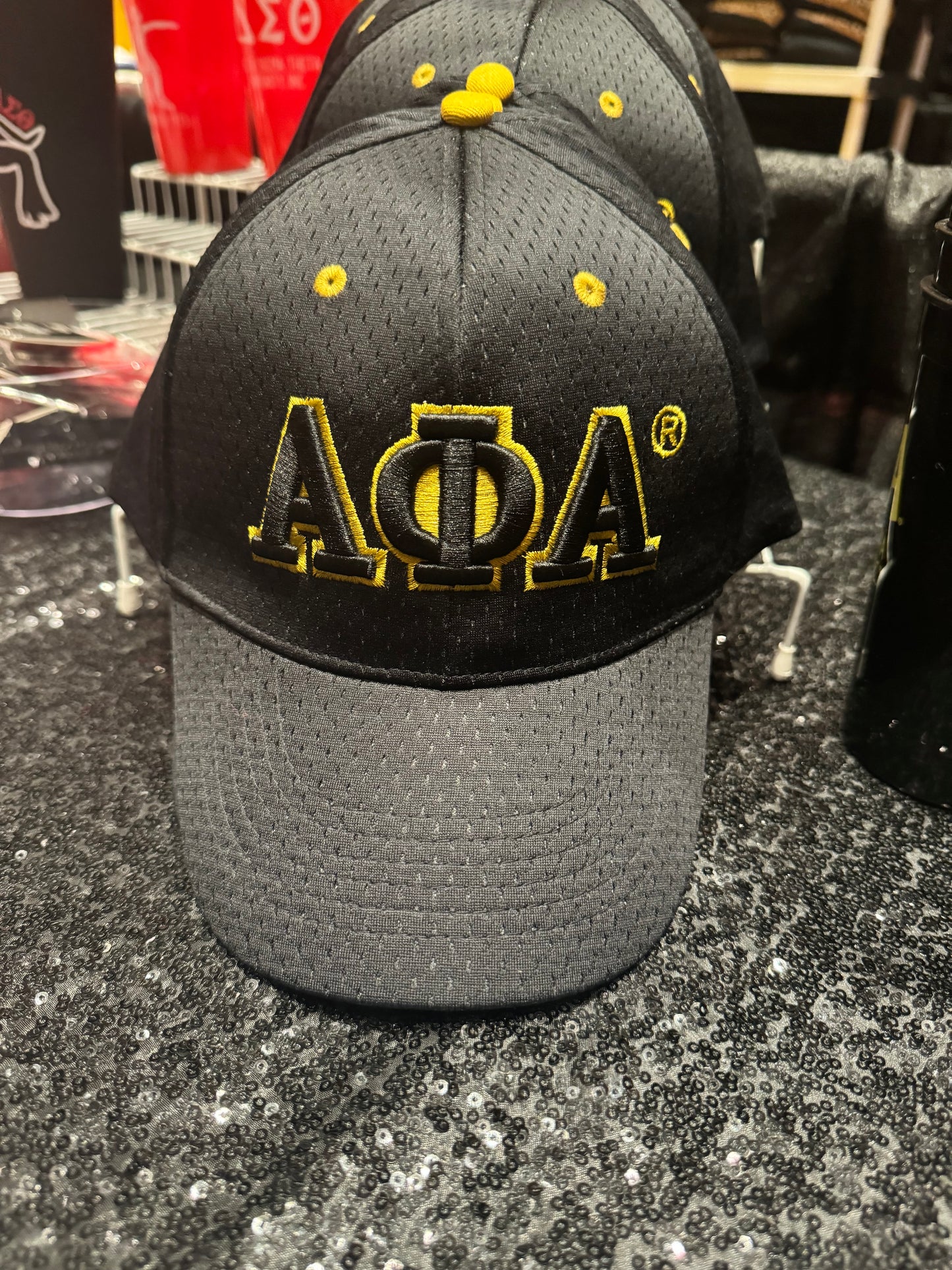 APA Fitted Hat