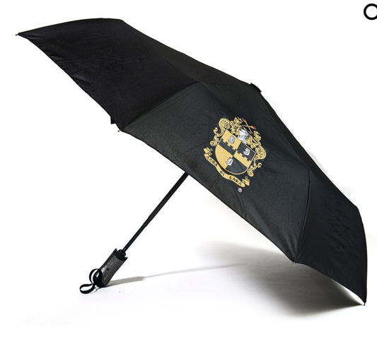 Small Wind Resistant Umbrella